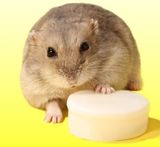 OHMYPET - Yogurt hamster