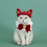 OHMYPET - Nón noel: