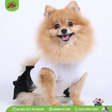 Bộ áo thun liền đầm KISS | DOGGY DOLLY D417