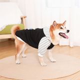 OHMYPET- Áo thun BIG DOG