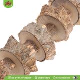 Dây gỗ có chuông đồ chơi chim 29cm | OMP