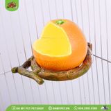 Quả trái cây đựng thức ăn chim | OMP