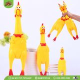 Gà tây đồ chơi chó | OMP