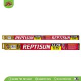 Đèn UVB dài 5.0 cho bò sát | Reptisun 5.0 UVB T5 HO | ZOOMED