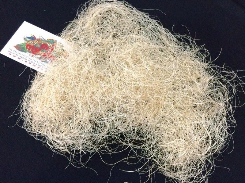 OHMYPET - Lót tổ chim