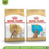 ROYAL CANIN | Thức ăn hạt cho chó Poodle