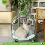 Vali kéo trong suốt cho chó mèo