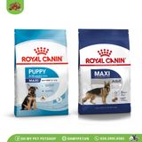 ROYAL CANIN | Thức ăn hạt cho chó lớn | Maxi