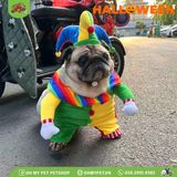 Bộ chú hề hóa trang Halloween | OMP