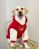 OHMYPET - Áo BIG DOG