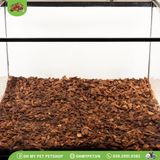 Lót chuồng cho bò sát | Repti Bark | ZOOMED