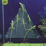 Võng lưới cho bò sát | Repti Hammock | ZOOMED