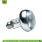 Đèn sưởi bò sát | Basking Spot Lamp | ZOOMED