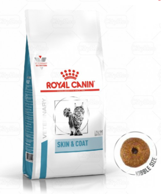 ROYAL CANIN- SKIN & COAT - Hỗ trợ mèo bị viêm da & rụng lông