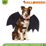 Cánh dơi hóa trang Halloween | OMP
