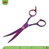 Bộ kéo tỉa lông cao cấp | OMP