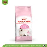 ROYAL CANIN | Thức ăn cho mèo con | Kitten