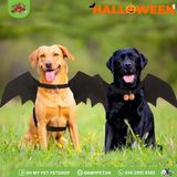 Cánh dơi hóa trang Halloween | OMP