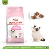 ROYAL CANIN | Thức ăn cho mèo con | Kitten