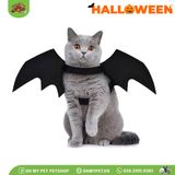 Cánh dơi hóa trang Halloween | OMP
