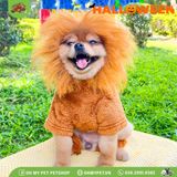 Bộ sư tử hóa trang Halloween | OMP