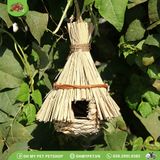 Tổ chim mái lá | OMP