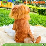 Bộ sư tử hóa trang Halloween | OMP