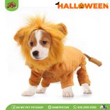 Bộ sư tử hóa trang Halloween | OMP