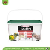Thức ăn bột cho chim non | NutriBird A21 | Versele Laga