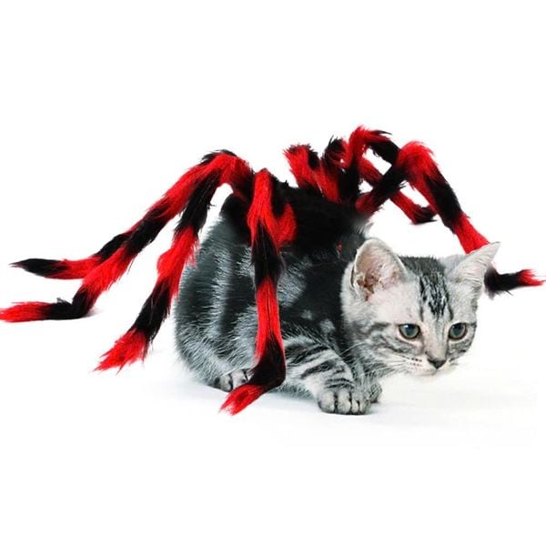 OHMYPET - Đồ hóa trang Halloween