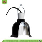 Đèn UVB cho bò sát | ReptiSun Mini Compact Fluorescent | ZOOMED