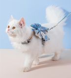 OHMYPET - Bộ cổ đôi: