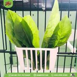 Giỏ rau treo cho chim | OMP