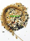 Thức ăn trộn cho vẹt nhỏ | Small Parrot Food | OMP