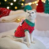 OHMYPET - Áo len: