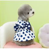 OHMYPET - Đầm