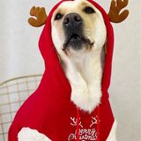 OHMYPET - Áo BIG DOG
