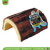 Hang rùa | Turtle Hut | ZOOMED