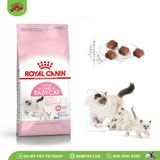 ROYAL CANIN | Thức ăn hạt cho mèo mẹ và mèo con | Mother & Baby cat