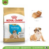 ROYAL CANIN | Thức ăn hạt cho Bulldog