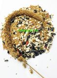 Thức ăn trộn cho vẹt nhỏ | Small Parrot Food | OMP