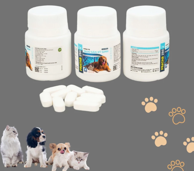 PRATAB 250 - Thuốc xổ giun chó mèo