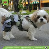 Yếm quần lính - DOGGY DOLLY