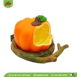 Quả trái cây đựng thức ăn chim | OMP
