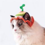 OHMYPET - Nón