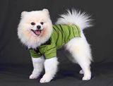 DOGGY DOLLY - Áo thun