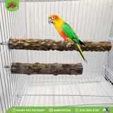 Cây gỗ đứng cho chim | OMP