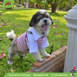 Yếm quần jeans | DOGGY DOLLY DP019