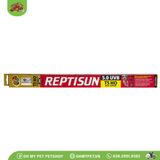 Đèn UVB dài 5.0 cho bò sát | Reptisun 5.0 UVB T5 HO | ZOOMED