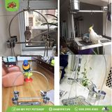 Đế đứng inox cho vẹt | OMP